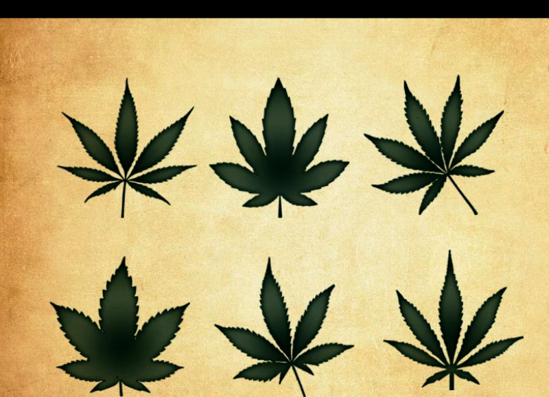 20款高清晰绿叶PS笔刷