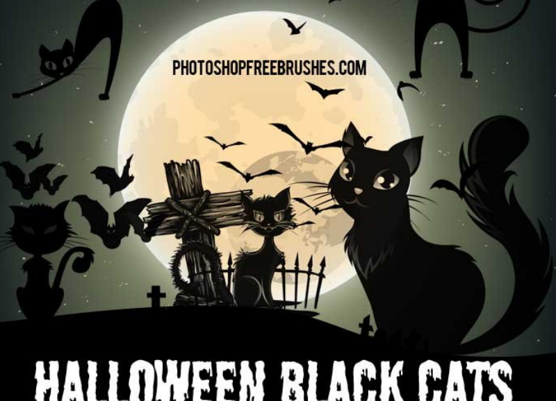 万圣节卡通黑猫装饰PS笔刷