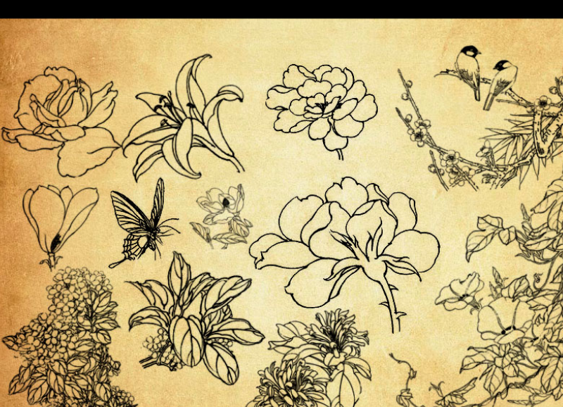 中国传统古典线描花朵花枝PS笔刷