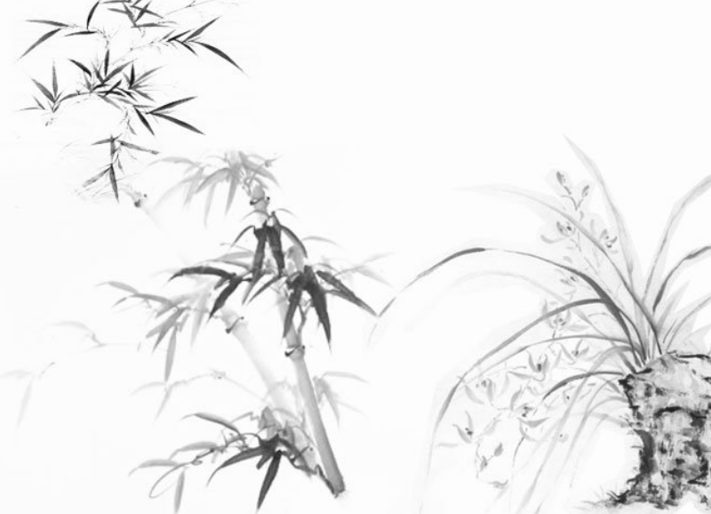 中国风水墨竹子和兰花笔刷