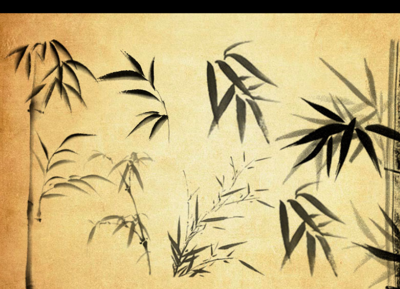 中国风竹子和竹叶PS笔刷