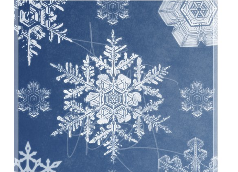 冬季冰冻雪花形状PS笔刷