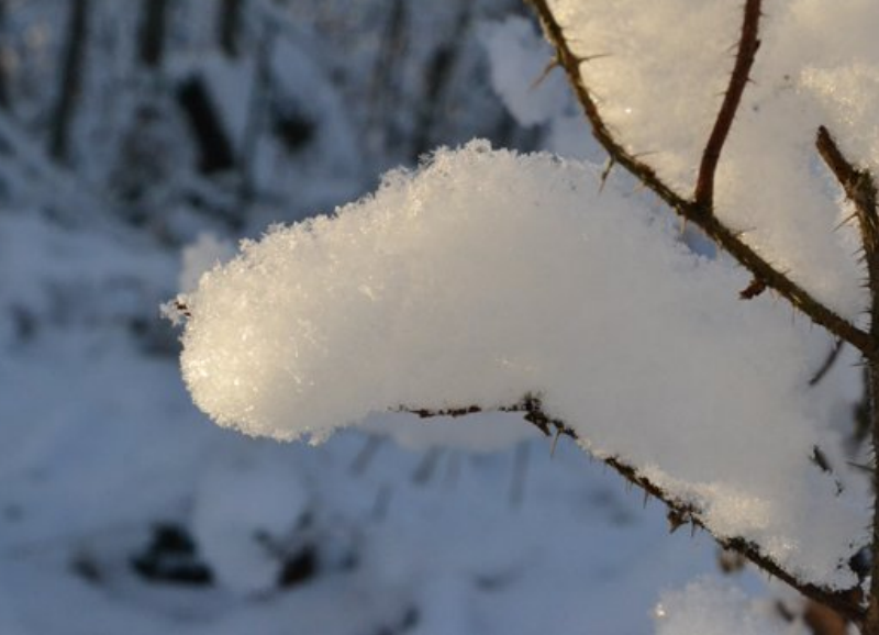 冬季雪花装饰PS笔刷