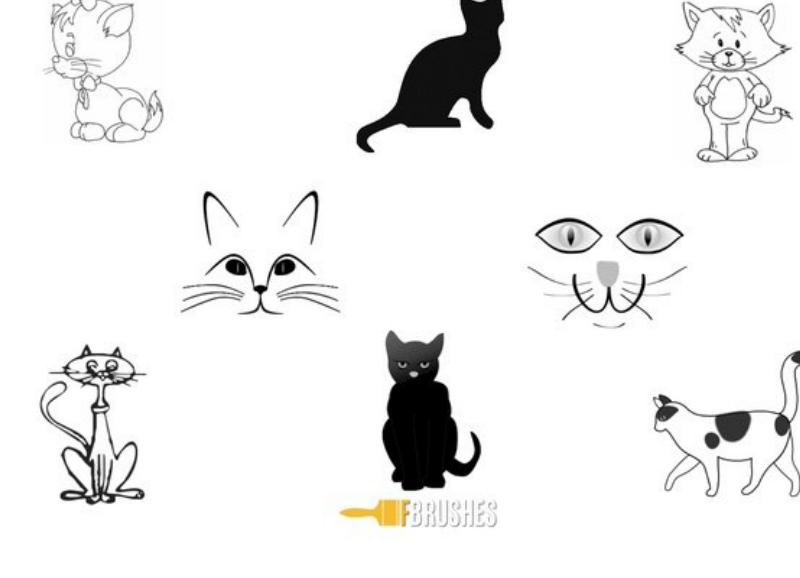 可爱的各种猫咪PS笔刷