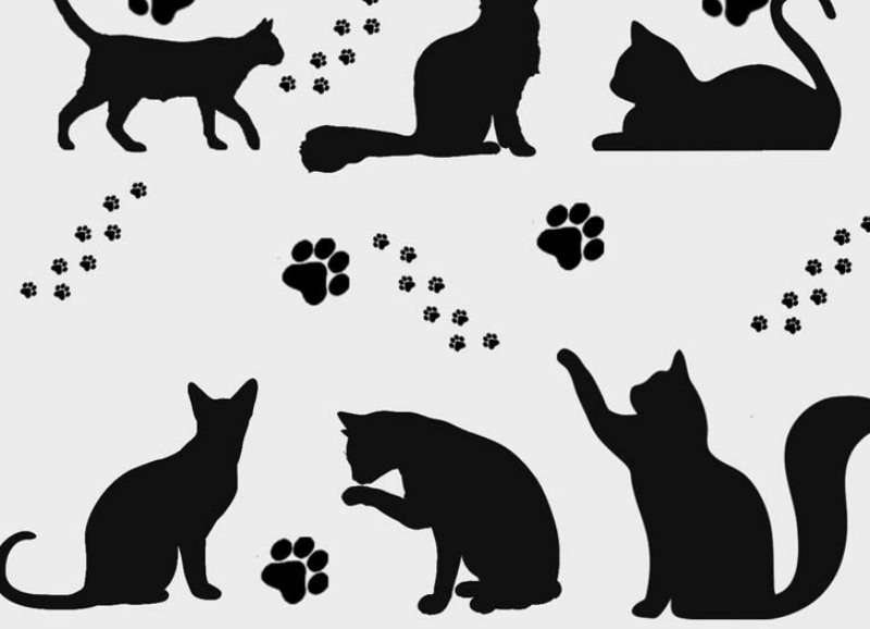 可爱的猫咪剪影和猫爪印PS笔刷