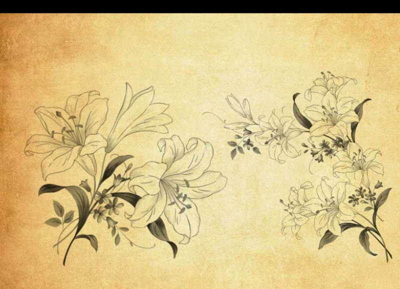 唯美花朵和花枝PS笔刷