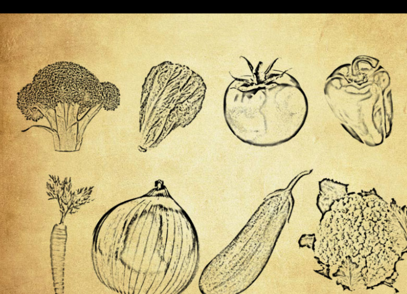 常见的手绘蔬菜PS笔刷