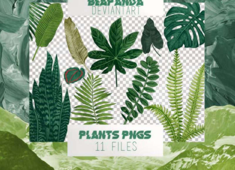 手绘植物藤叶和叶子PS笔刷