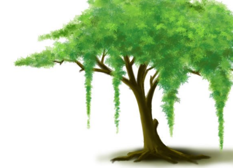 手绘的大树树叶效果PS笔刷