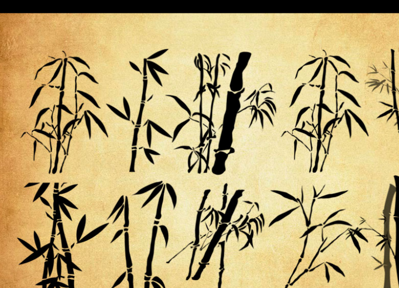 手绘矢量风格竹子和竹叶PS笔刷