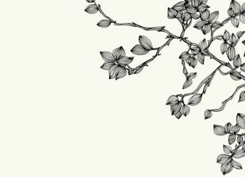 手绘线描效果花枝笔刷