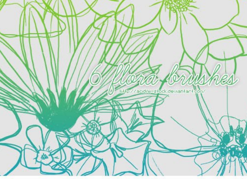 手绘线描花朵笔刷