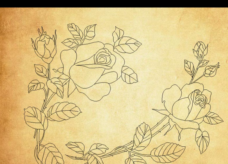 手绘线条玫瑰花束PS笔刷
