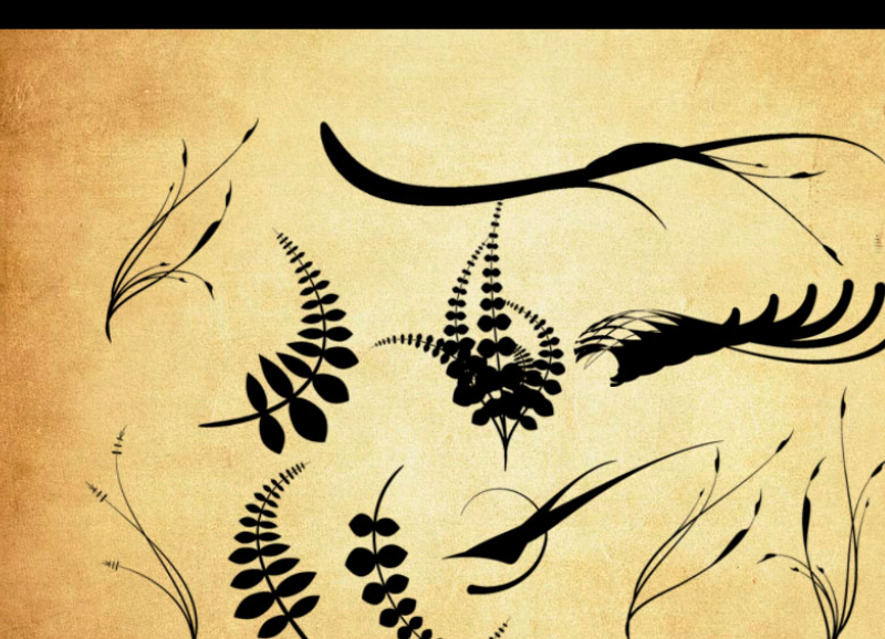 时尚的叶子藤蔓和花朵PS笔刷
