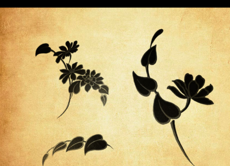 时尚的植物藤蔓PS笔刷