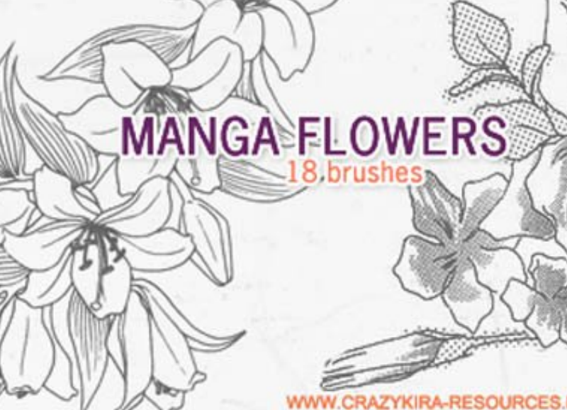 时尚的线描花朵效果笔刷