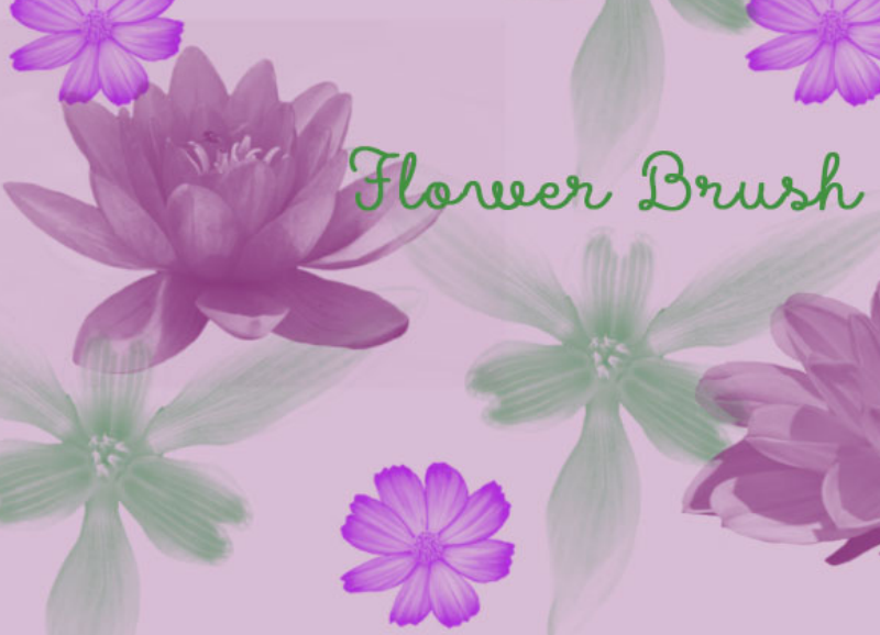 时尚花朵和花卉PS笔刷