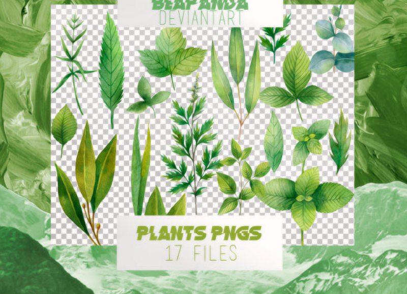 植物绿叶装饰PS笔刷
