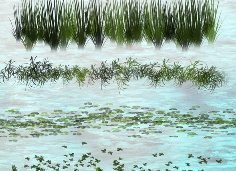 浮游水草装饰系列笔刷