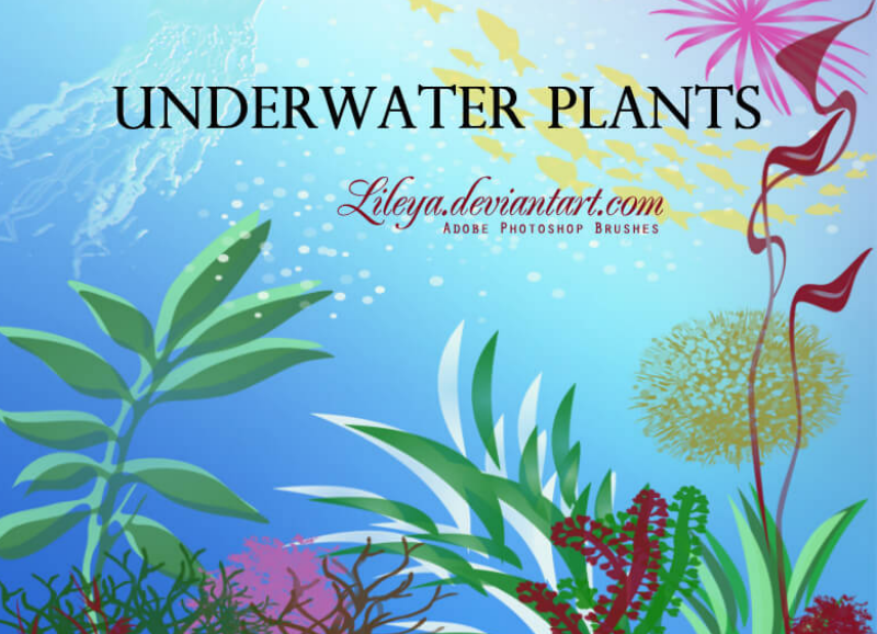 海底生物和植物PS笔刷