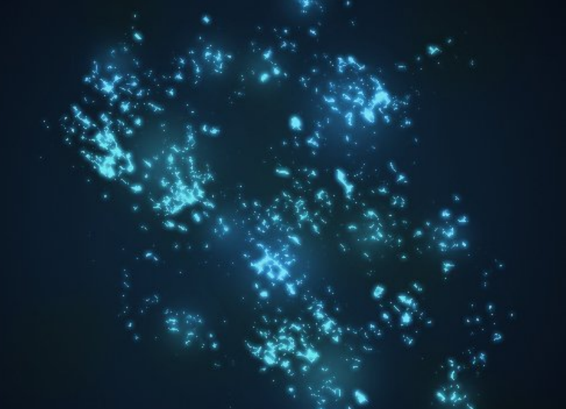 液体中的高亮闪烁效果笔刷