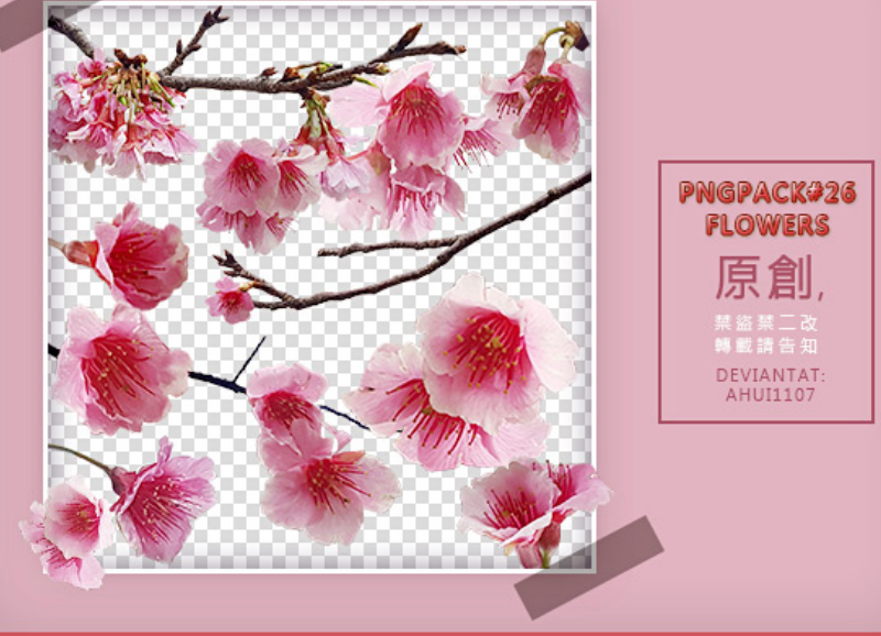漂亮的梅花和花朵PS笔刷