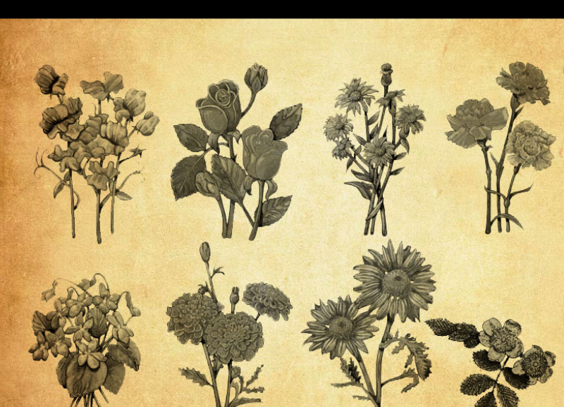 热带植物丛林PS笔刷