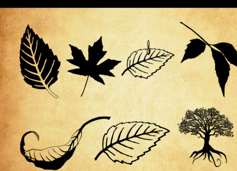 环保标志和树叶树木PS笔刷