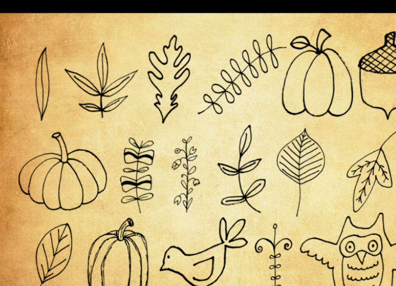 简笔画南瓜和植物叶子PS笔刷