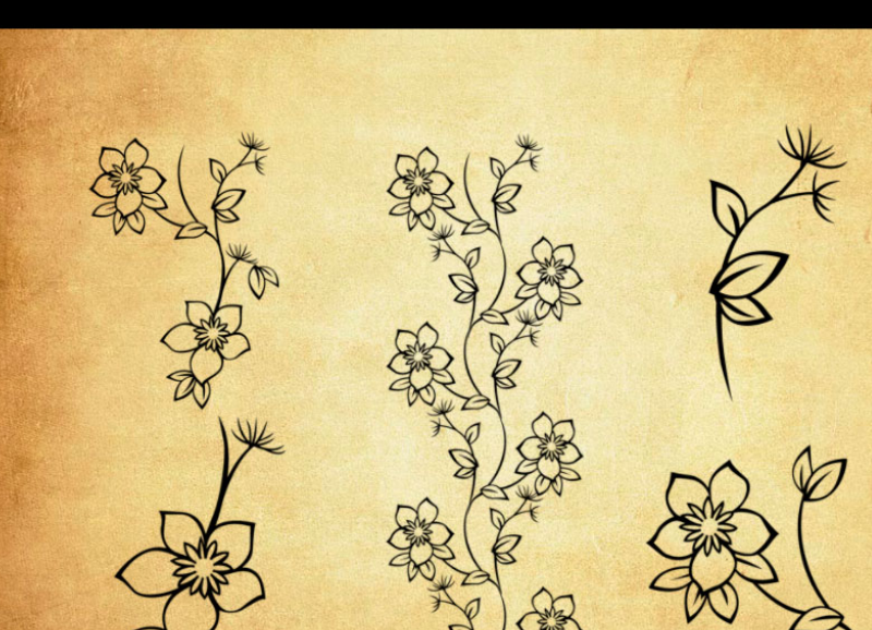 简约的线描花朵装饰PS笔刷