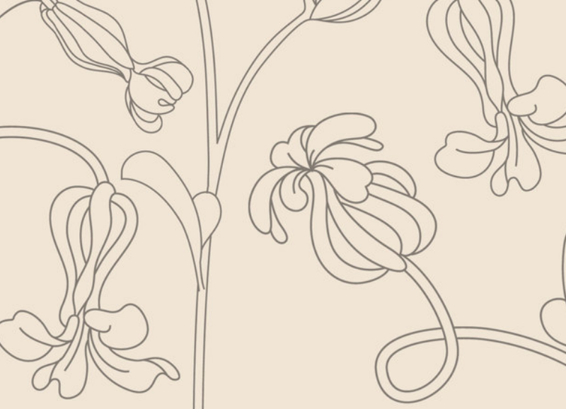 简约线描花朵PS笔刷