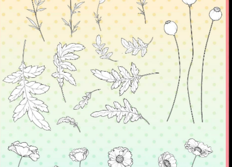 线描花朵和绿叶PS笔刷