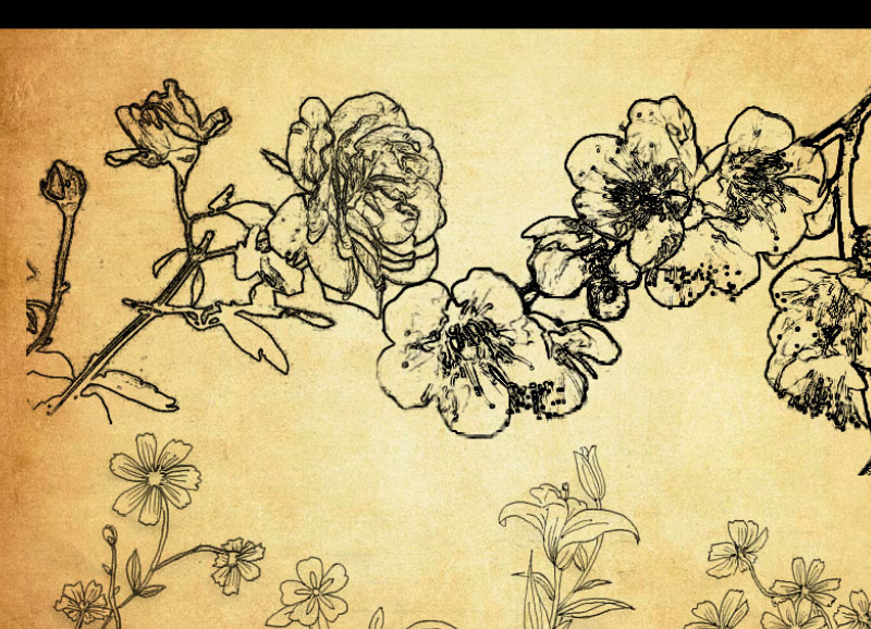 线描花朵花枝PS笔刷