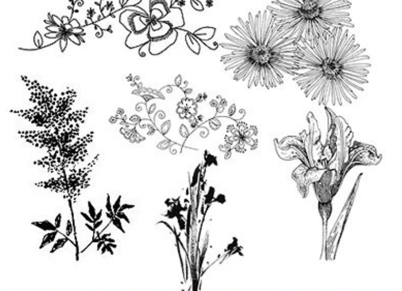 线描花朵花枝和树枝PS笔刷