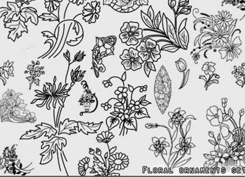 线描花朵花枝笔刷