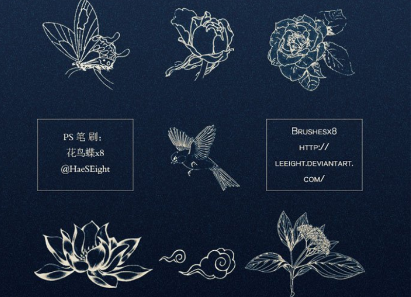 线描花朵蝴蝶和小鸟笔刷