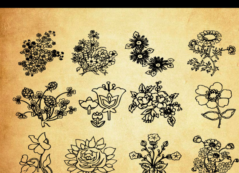 线描鲜花和花束PS笔刷