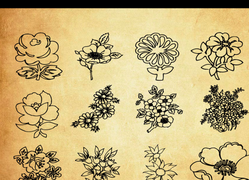 线描鲜花和花束PS笔刷V2