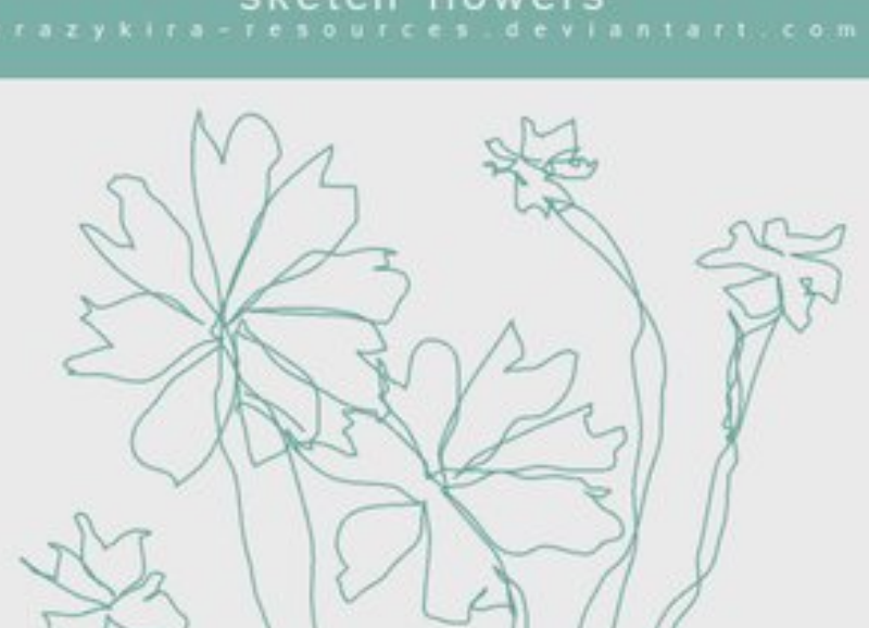 线条线描花朵笔刷