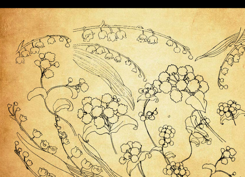线条轮廓花朵装饰PS笔刷