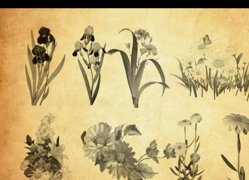花朵和花束装饰PS笔刷