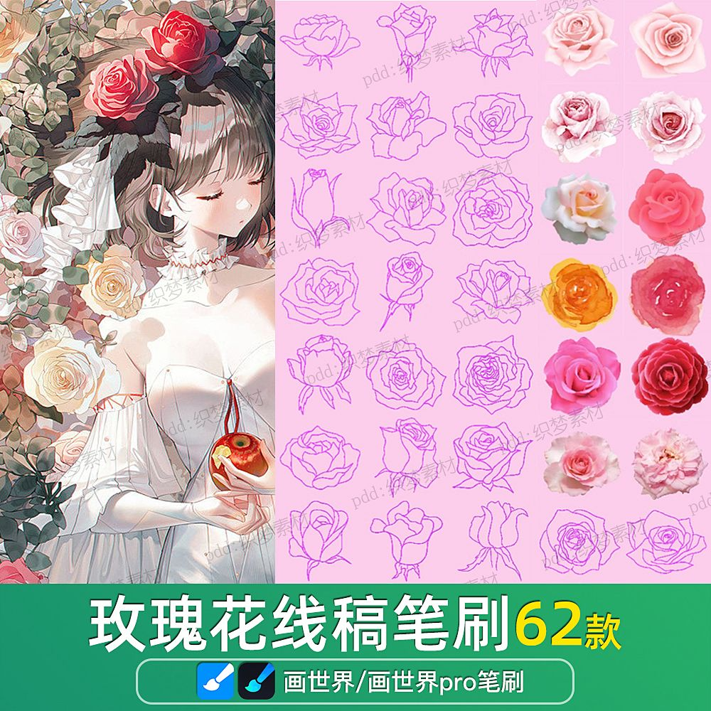 图片[18]-画世界植物笔刷与中英文字体资源