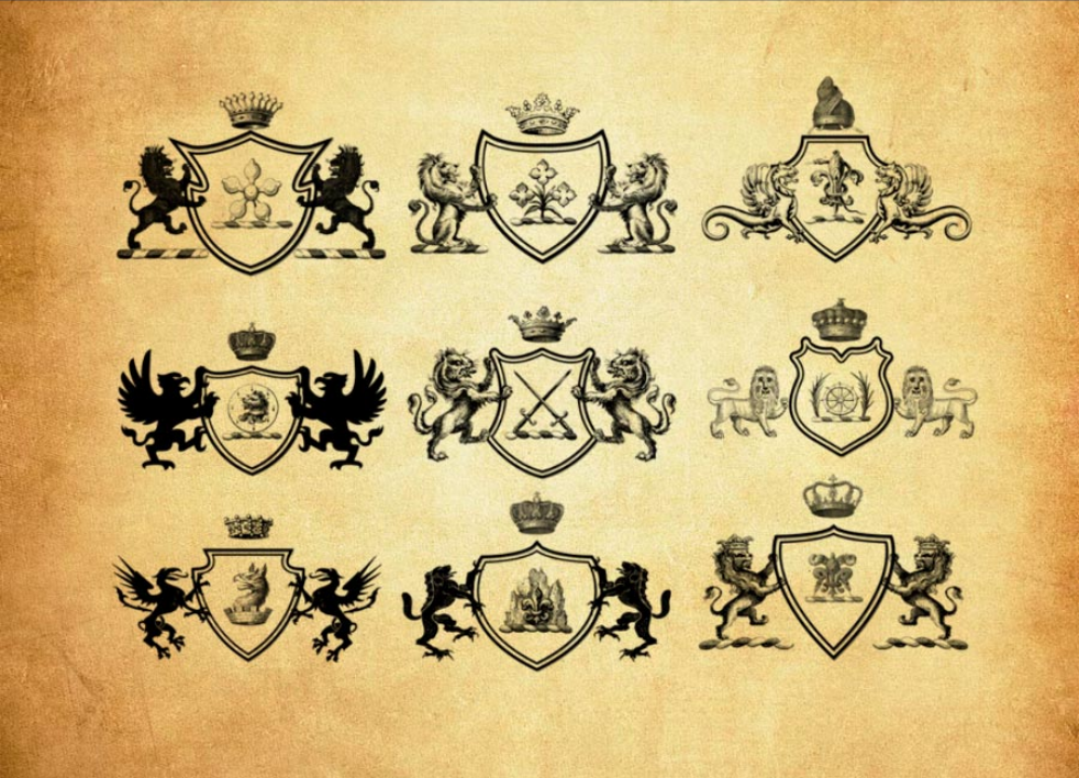 专业20款欧式盾牌花纹装饰PS笔刷 - 包含高品质20款欧式盾牌花纹装饰样式,兼容Photoshop全版本-25虚拟网