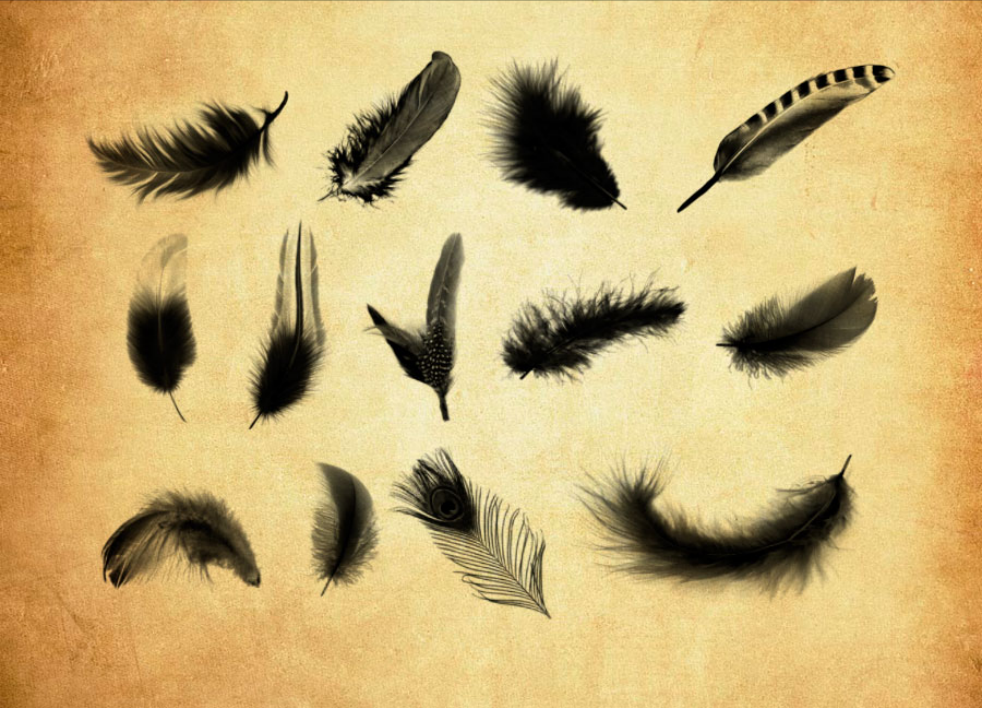 20款羽毛飘落效果PS笔刷 - 多功能20款羽毛飘落效果素材，适配各类设计项目-25虚拟网
