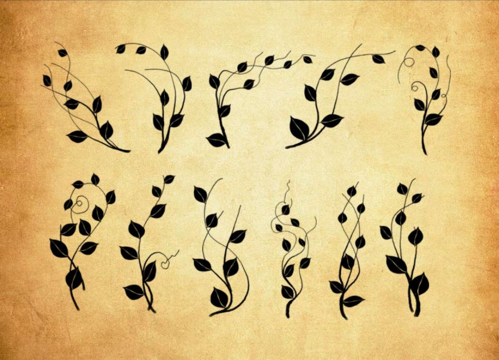 20款高清晰藤蔓藤条PS笔刷 - 高效20款高清晰藤蔓藤条设计工具，节省80%手动绘制时间-25虚拟网