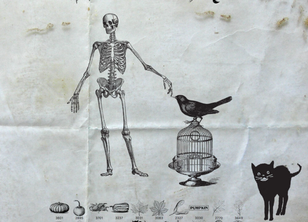 手绘涂鸦花朵和蛋糕PS笔刷 - 专业手绘涂鸦花朵和蛋糕设计素材，适配Photoshop各类创作场景-25虚拟网