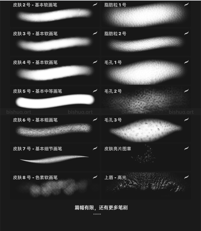 图片[6]-Procreate Laura H. Rubin终极人像笔刷套装 写实风格肌肤毛发与质感创作数字工具-25虚拟网