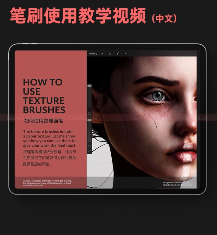 图片[16]-Procreate Laura H. Rubin终极人像笔刷套装 写实风格肌肤毛发与质感创作数字工具-25虚拟网