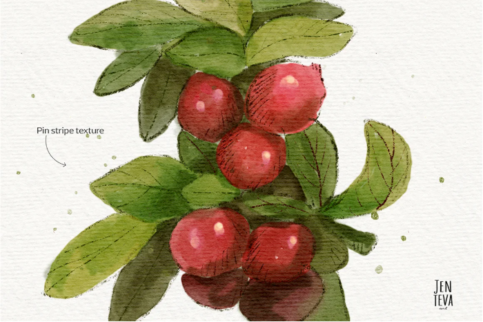 图片[5]-Procreate水彩&铅笔笔刷套装 14支双质感笔刷 适配清新插画与细腻素描-25虚拟网