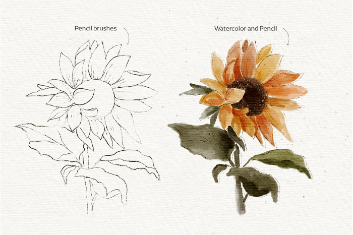 图片[6]-Procreate水彩&铅笔笔刷套装 14支双质感笔刷 适配清新插画与细腻素描-25虚拟网